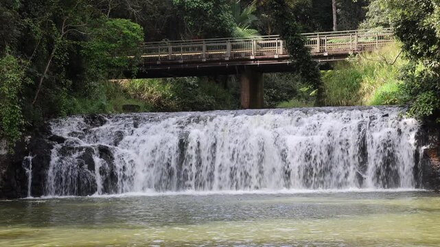 Water flowing over Malanda Falls waterfall in Queensland, Australia
