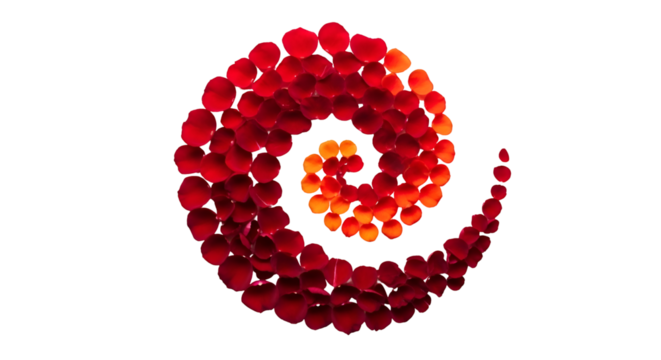 Rose Petals Form a Spiral Shape on Transparent Background, Creating an Abstract Design Element - Powered by Adobe