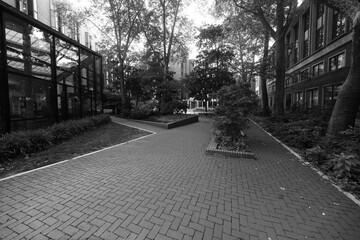 Locust Walk in Philadelphia