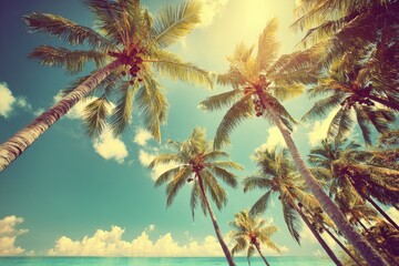 Tropical palms, bright sky, turquoise water