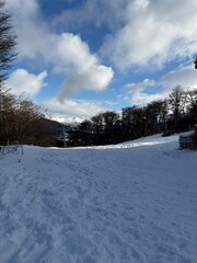 Snowy View of Cerro Castor with Abundant Snowfall in Winter Landscape
