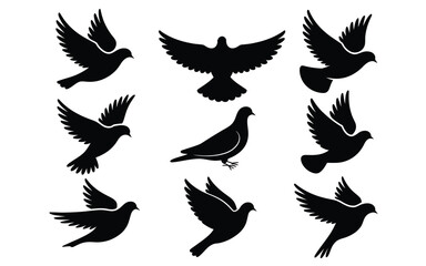 Vector art of set of pigeon silhouettes in various poses isolated on white background for design needs
