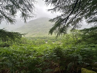 Highland hills of Scotland on a misty summer hike in the forest