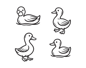 Collection of duck vector illustrations