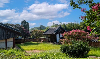 전통 한국의 한옥(사당)에 핀 여름꽃 배롱나무꽃