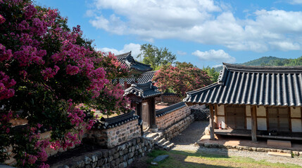전통 한국의 한옥(사당)에 핀 여름꽃 배롱나무꽃