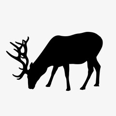 Eating stag silhouette clipart, wildlife illustration