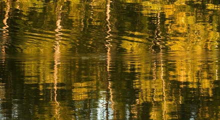 Fototapete Krankenhaus Serene Nature: Golden Rippled Water Reflections  © 培 余