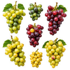 Fresh Bunches of Green and Red Grapes with Leaves on Transparent background
