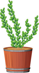 vector illustration of a green plant in a barrel