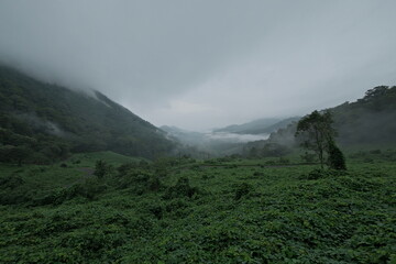 An ethereal view from the Mampazhathara Viewpoint in Thenmala, Kollam, Kerala, as the early morning...