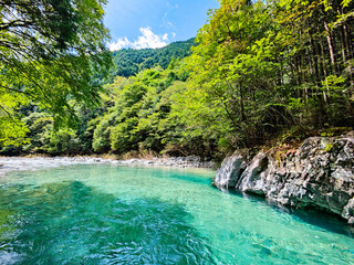 阿寺渓谷　夏