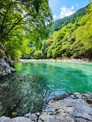 阿寺渓谷　夏
