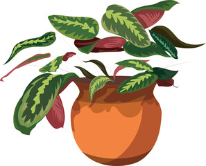 vector illustration of a green and pink leafy plant in a brown pot