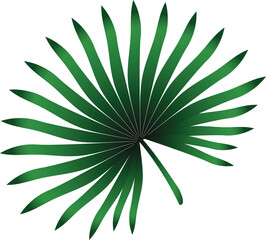 vector illustration of a stem of multiple green leaf