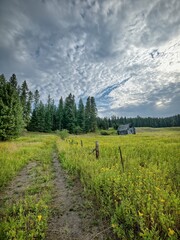 A pathway leads to an old barn in a green field under a cloudy sky in north Idaho.