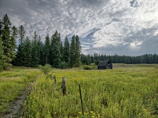 A pathway leads to an old barn in a green field under a cloudy sky in north Idaho.