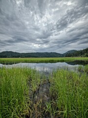 The scenic St. Joe River north of St. Maries under a cloudy morning sky in north Idaho.