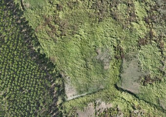 Top View Aerial Photograph