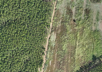 Top View Aerial Photograph