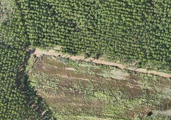 Top View Aerial Photograph