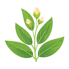 Green Plant with Budding Flowers Illustration