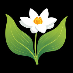 Isolated white flower with leaves on ground