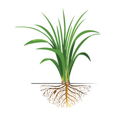 Layered soil with fresh plant and roots