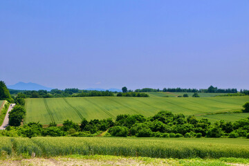 Obraz premium オーヴェールの丘（北海道・大空町）