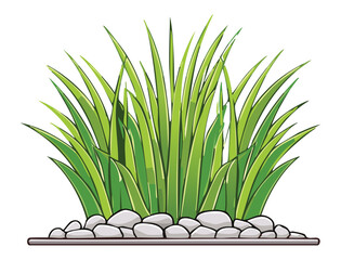 Green plant on ground with small white stones