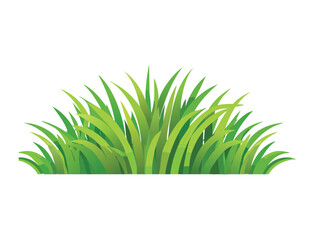 A lush green lawn patch illustration
