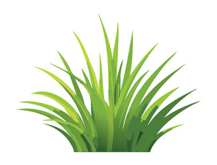 Green plant on ground, vector illustration