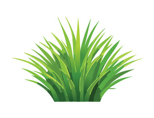 Seamless horizontal border of green grass