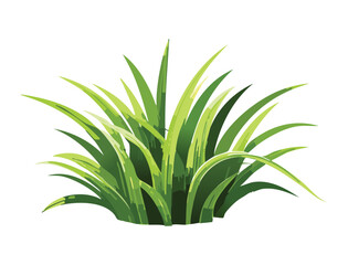 A single tuft of green grass illustration

