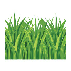 Fototapeta premium Horizontal border of fresh green grass