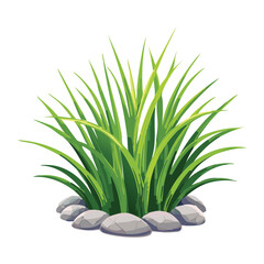 Isolated plant on ground with small stones