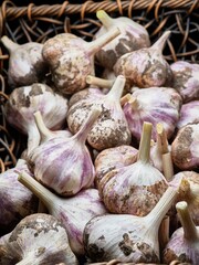  Garlic bulbs piled in a basket.
