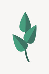 Fototapeta premium Cute Bay leaves, herb & cooking vector