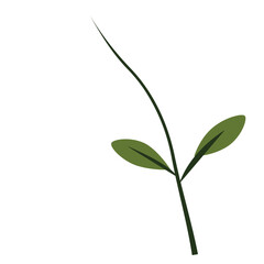 2d  Flat green leafy branch with minimal botanical style, perfect for decorative prints, invitations, and spring or summer floral-themed designs.