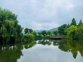 Fototapeta premium 경주 천년의숲