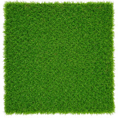Fototapeta premium Green grass texture patch isolated on transparent background