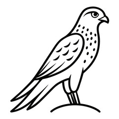vector illustration of a bird