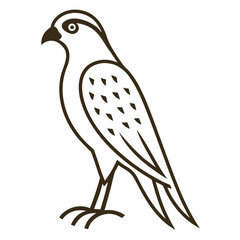vector illustration of a bird