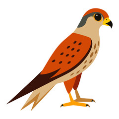 vector illustration of a bird