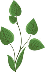 vector illustration of green leaves with stem