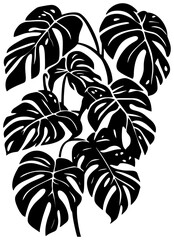 Monstera adansonii vine silhouette border decoration