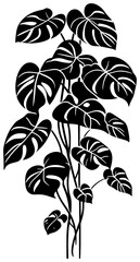 Monstera adansonii vine silhouette border decoration