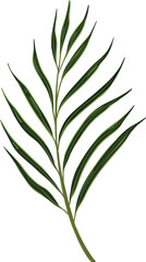 green leaf vector