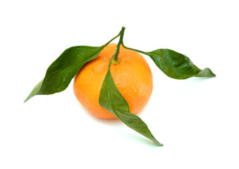 Ripe mandarin citrus isolated tangerine mandarine orange on white background. 