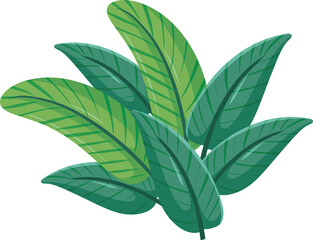 vector illustration of green leaves